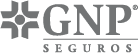 GNP_B_N